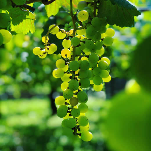 20201231-9.jpg